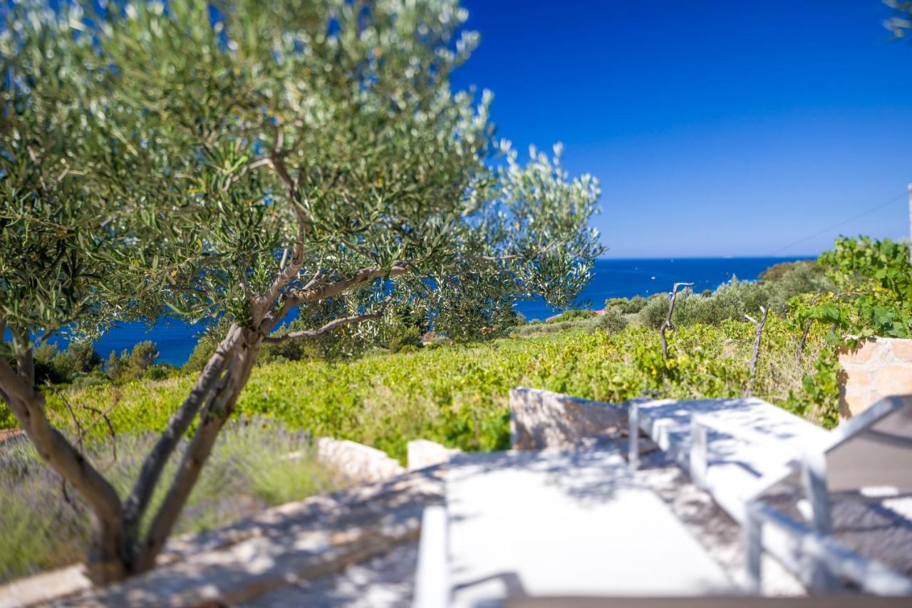 Stella Mare Eco Boutique House Otel Zavala Dış mekan fotoğraf
